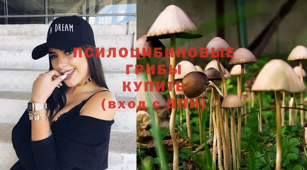 скорость Алзамай