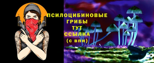 скорость Алзамай