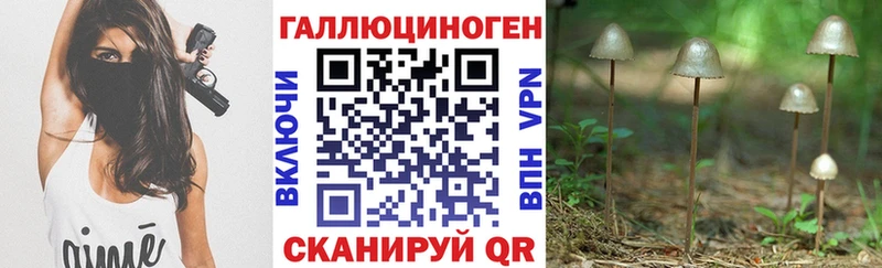 купить наркотики цена  Арамиль  маркетплейс Telegram  Галлюциногенные грибы Psilocybine cubensis 